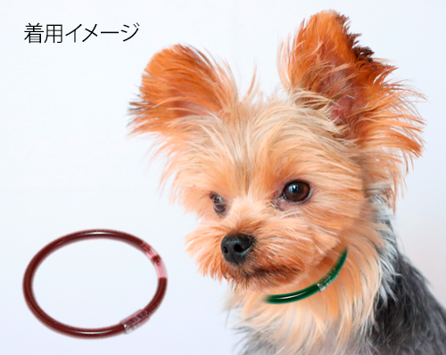 ヴァルナチューブペット用